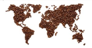 Cafea arabica si robusta
